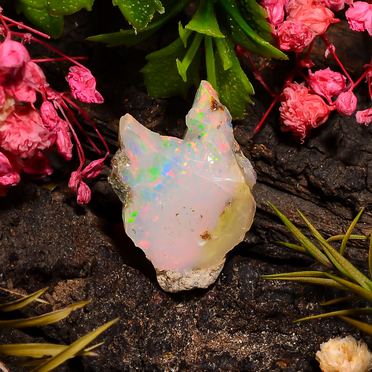 Outstanding Top Grade Quality 100% Natural Welo Fire Ethiopian Opal Rough Loose Gemstone For Making Jewelry 20X15X9 MM 09.50 Cts. KR27-17 Sunkarton