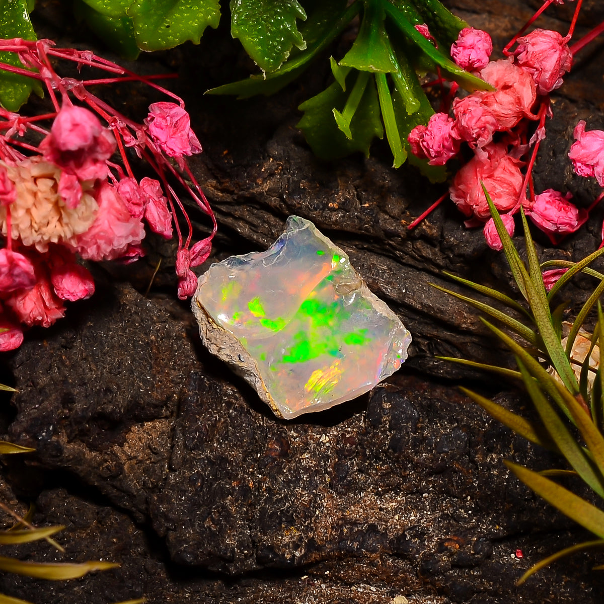 Amazing Top Grade Quality 100% Natural Welo Fire Ethiopian Opal Fancy Rough Loose Gemstone For Making Jewelry 15X12X9 MM 05.50 Cts. KR27-26 Sunkarton