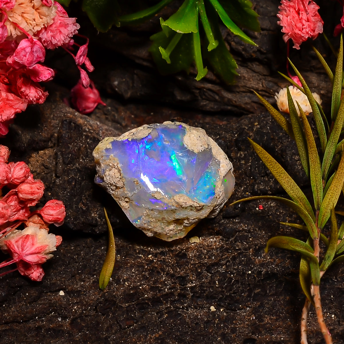 Supreme Top Grade Quality 100% Natural Welo Fire Ethiopian Opal Fancy Rough Loose Gemstone For Making Jewelry 18X12X10 MM 08.50 Cts. KR27-46 Sunkarton