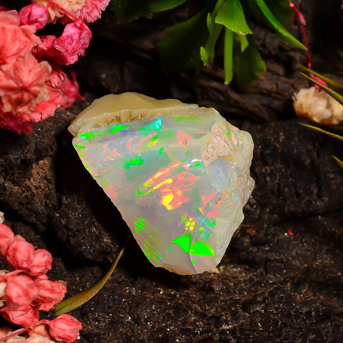 Terrific Top Grade Quality 100% Natural Welo Fire Ethiopian Opal Rough Loose Gemstone For Making Jewelry 20X15X12 MM 13.00 Cts. KR27-48 Sunkarton