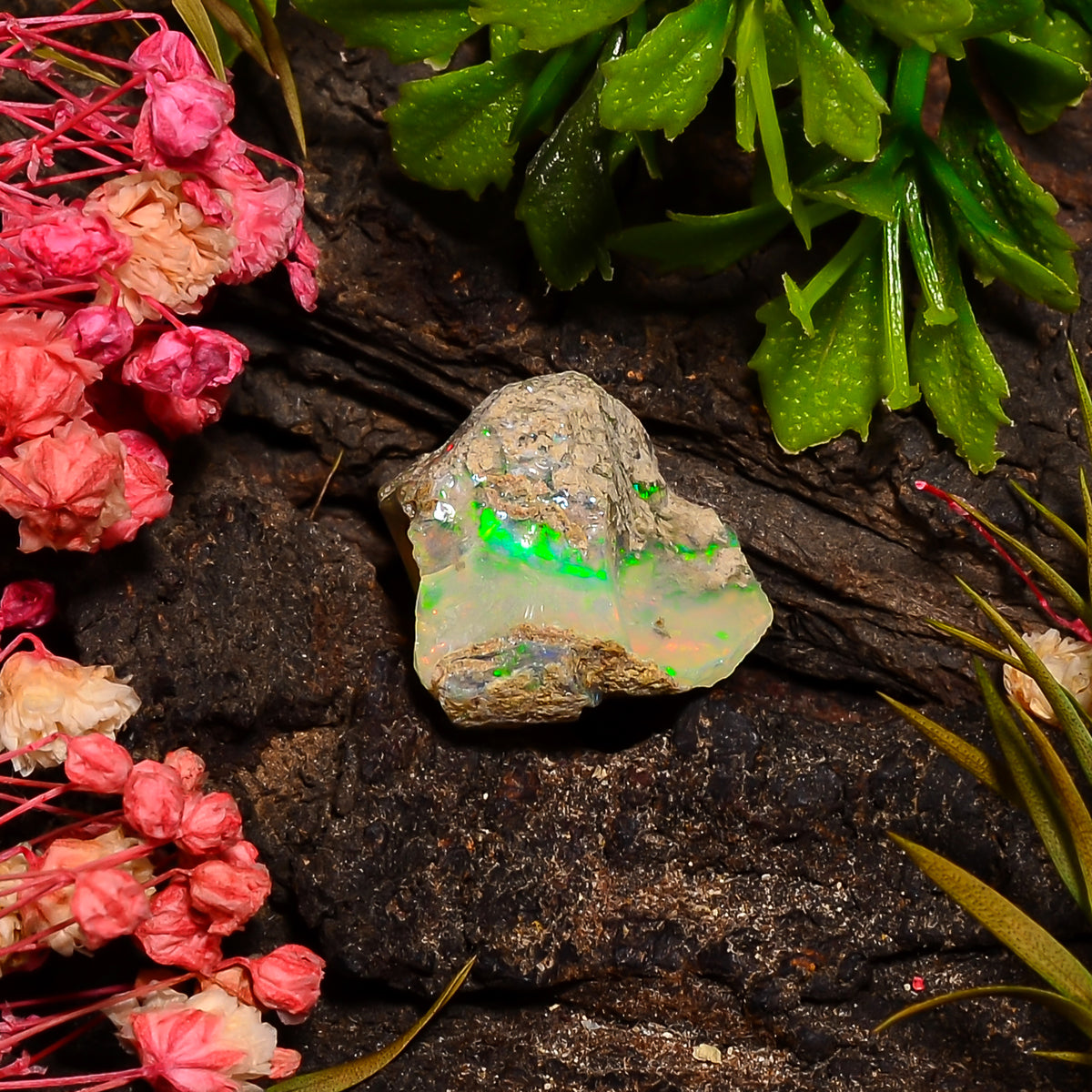 Wonderful Top Grade Quality 100% Natural Welo Fire Ethiopian Opal Rough Loose Gemstone For Making Jewelry 16X16X11 MM 10.50 Cts. KR27-50 Sunkarton