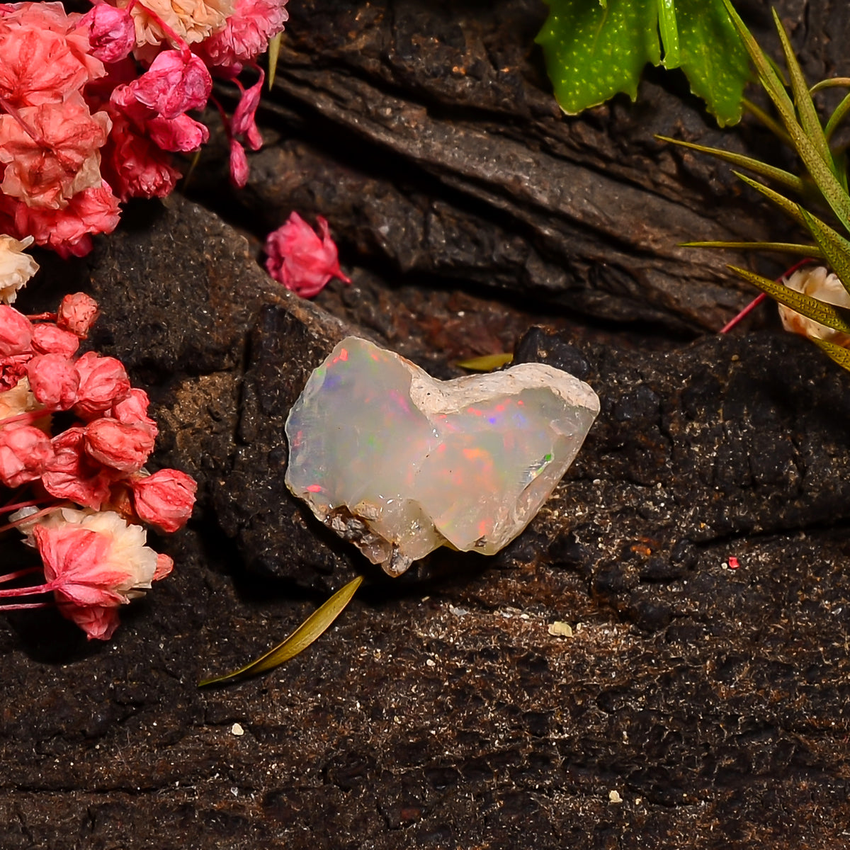 Attractive Top Grade Quality 100% Natural Welo Fire Ethiopian Opal Rough Loose Gemstone For Making Jewelry 16X11X9 MM 04.50 Cts. KR27-52 Sunkarton