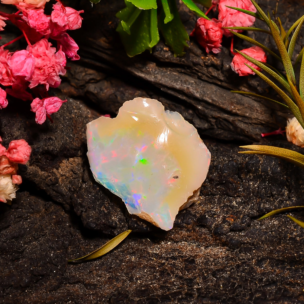 Fantastic Top Grade Quality 100% Natural Welo Fire Ethiopian Opal Rough Loose Gemstone For Making Jewelry 18X15X7 MM 06.00 Cts. KR27-61 Sunkarton