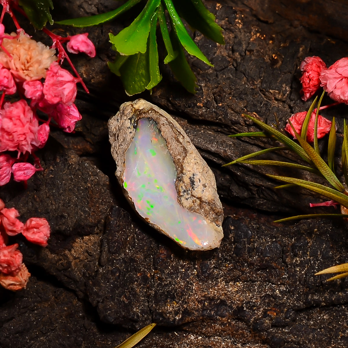 Outstanding Top Grade Quality 100% Natural Welo Fire Ethiopian Opal Rough Loose Gemstone For Making Jewelry 23X10X9 MM 08.50 Cts. KR27-67 Sunkarton