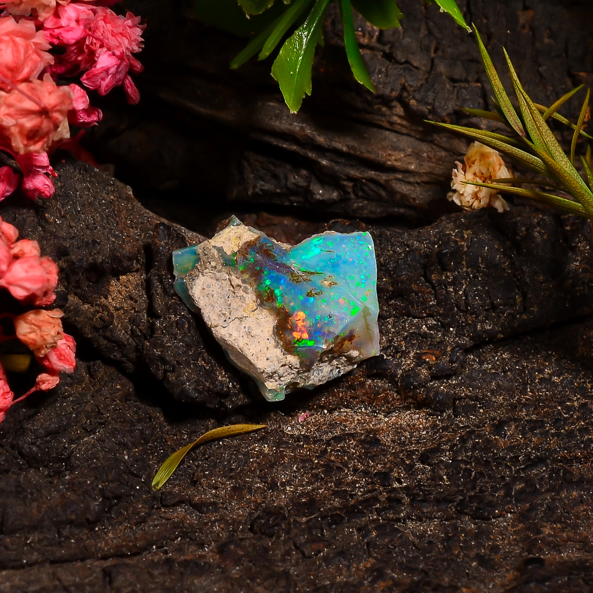 Mind Blowing Top Grade Quality 100% Natural Welo Fire Ethiopian Opal Rough Loose Gemstone For Making Jewelry 16X12X7 MM 05.50 Cts. KR28-16 Sunkarton