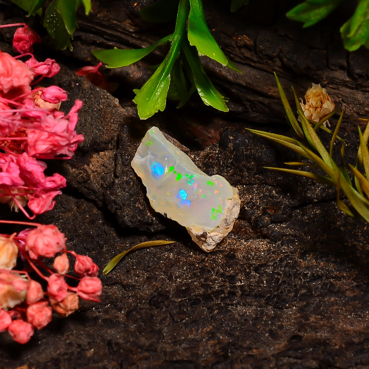 Splendid Top Grade Quality 100% Natural Welo Fire Ethiopian Opal Fancy Rough Loose Gemstone For Making Jewelry 16X9X7 MM 03.50 Cts. KR28-18 Sunkarton