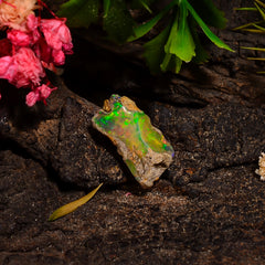 Awesome Top Grade Quality 100% Natural Welo Fire Ethiopian Opal Fancy Rough Loose Gemstone For Making Jewelry 14X7X6 MM 03.50 Cts. KR28-3 Sunkarton