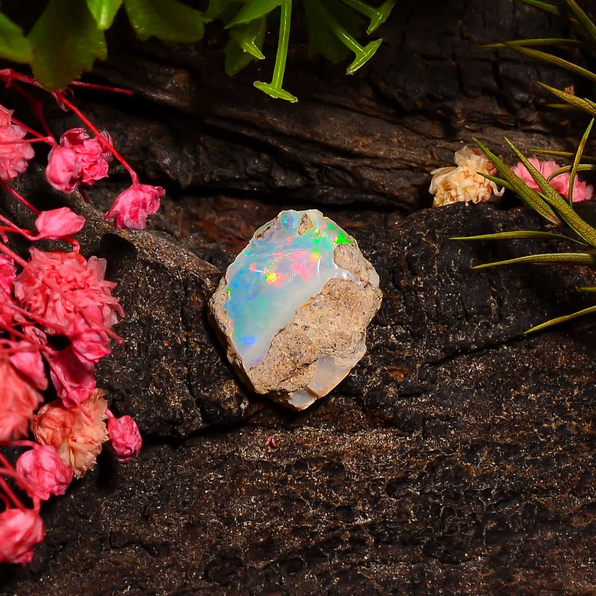 Splendid Top Grade Quality 100% Natural Welo Fire Ethiopian Opal Fancy Rough Loose Gemstone For Making Jewelry 12X10X3 MM 02.50 Cts. KR28-43 Sunkarton