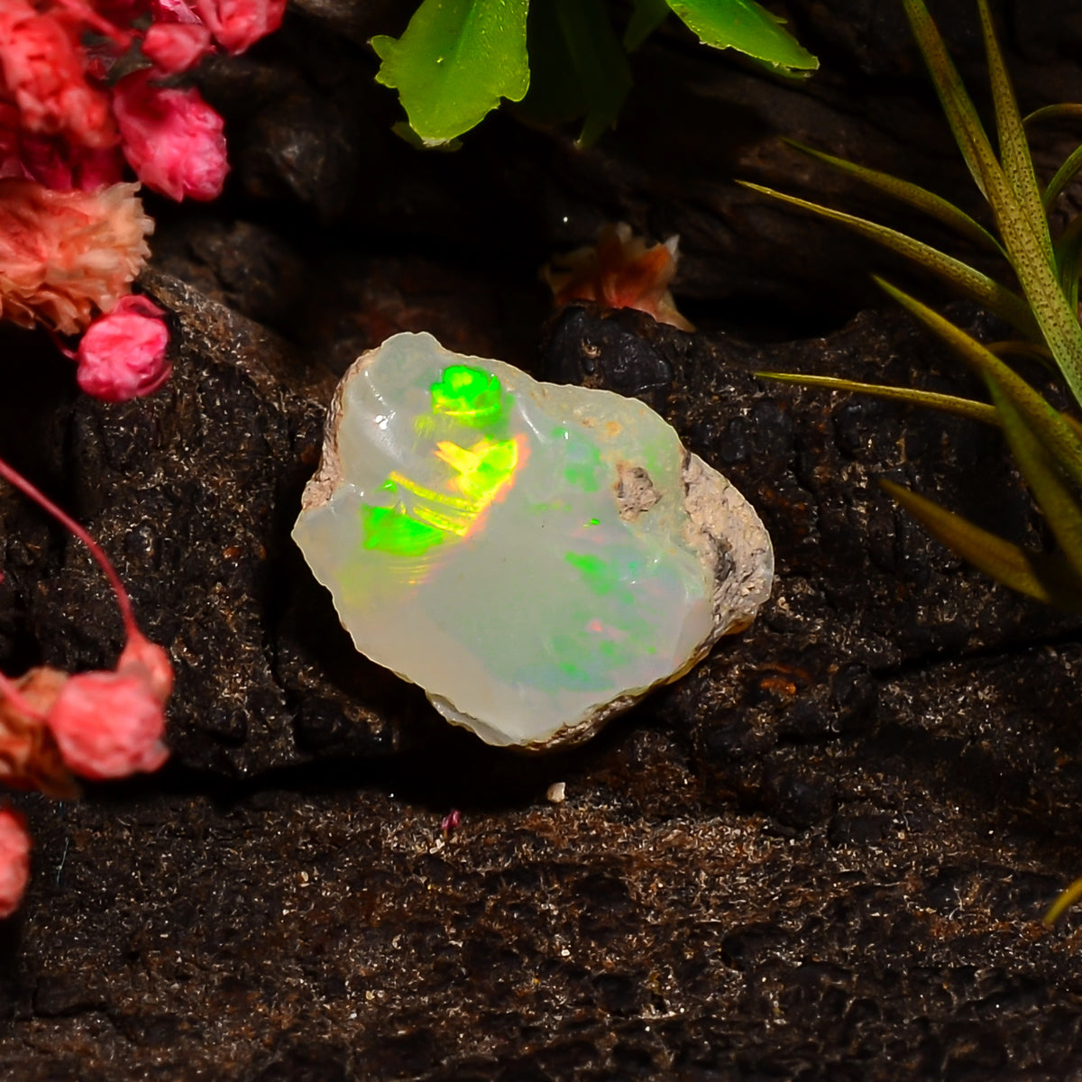Exclusive Top Grade Quality 100% Natural Welo Fire Ethiopian Opal Rough Loose Gemstone For Making Jewelry 13X10X7 MM 04.00 Cts. KR28-58 Sunkarton