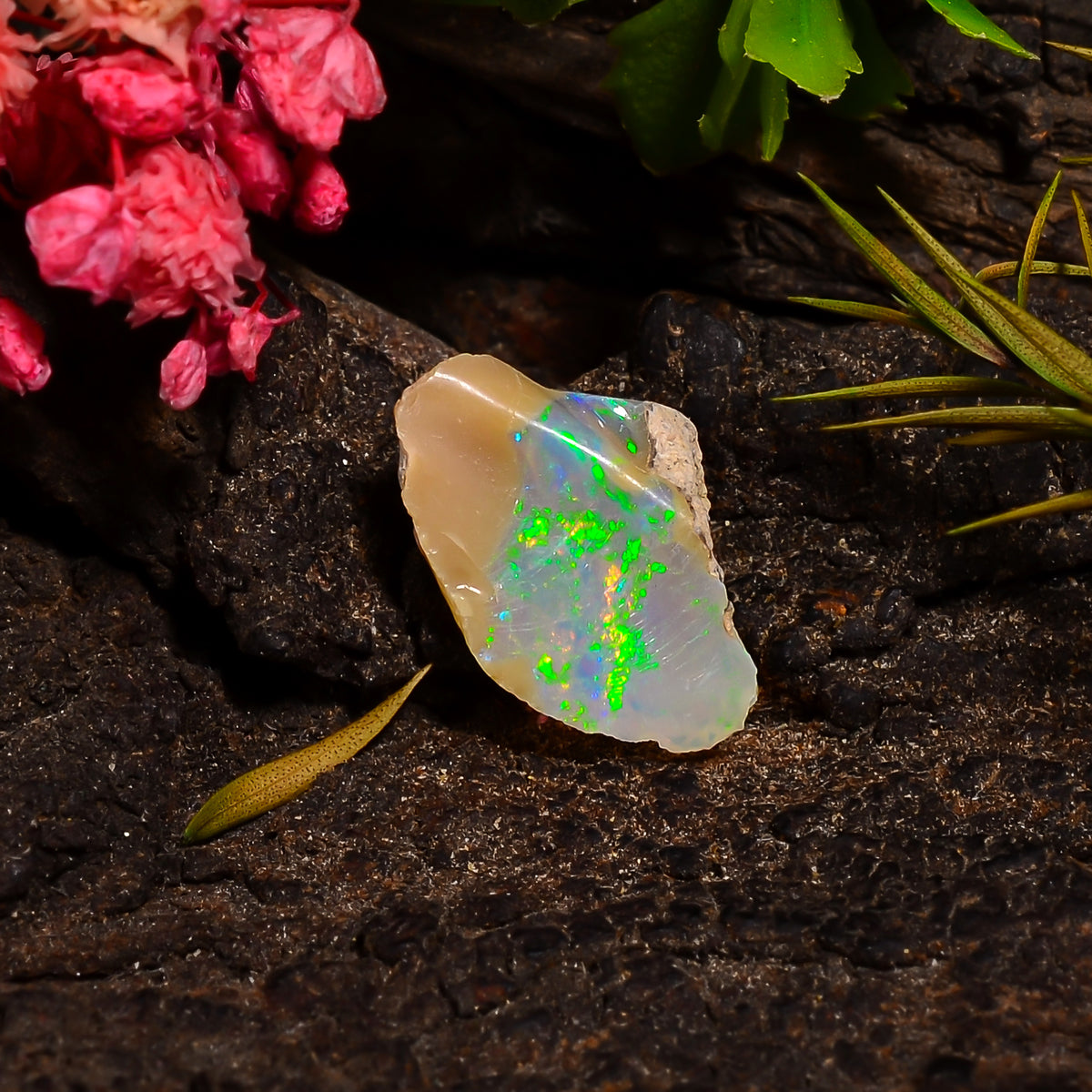 Classic Top Grade Quality 100% Natural Welo Fire Ethiopian Opal Fancy Rough Loose Gemstone For Making Jewelry 15X10X7 MM 03.50 Cts. KR28-5 Sunkarton