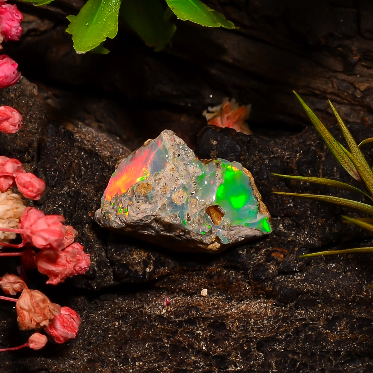 Fantastic Top Grade Quality 100% Natural Welo Fire Ethiopian Opal Fancy Rough Loose Gemstone For Making Jewelry 14X9X7 MM 03.50 Cts. KR28-61 Sunkarton