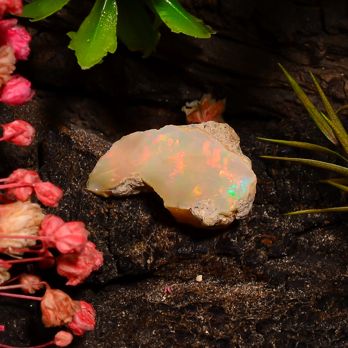 Gorgeous Top Grade Quality 100% Natural Welo Fire Ethiopian Opal Fancy Rough Loose Gemstone For Making Jewelry 15X9X5 MM 02.00 Cts. KR28-62 Sunkarton