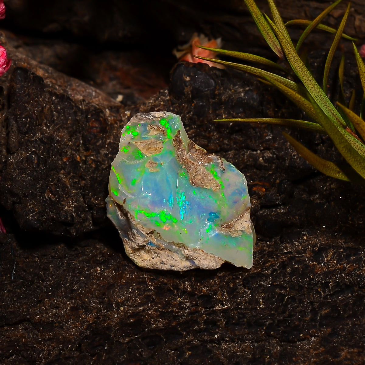 Mind Blowing Top Grade Quality 100% Natural Welo Fire Ethiopian Opal Rough Loose Gemstone For Making Jewelry 14X11X6 MM 03.50 Cts. KR28-66 Sunkarton