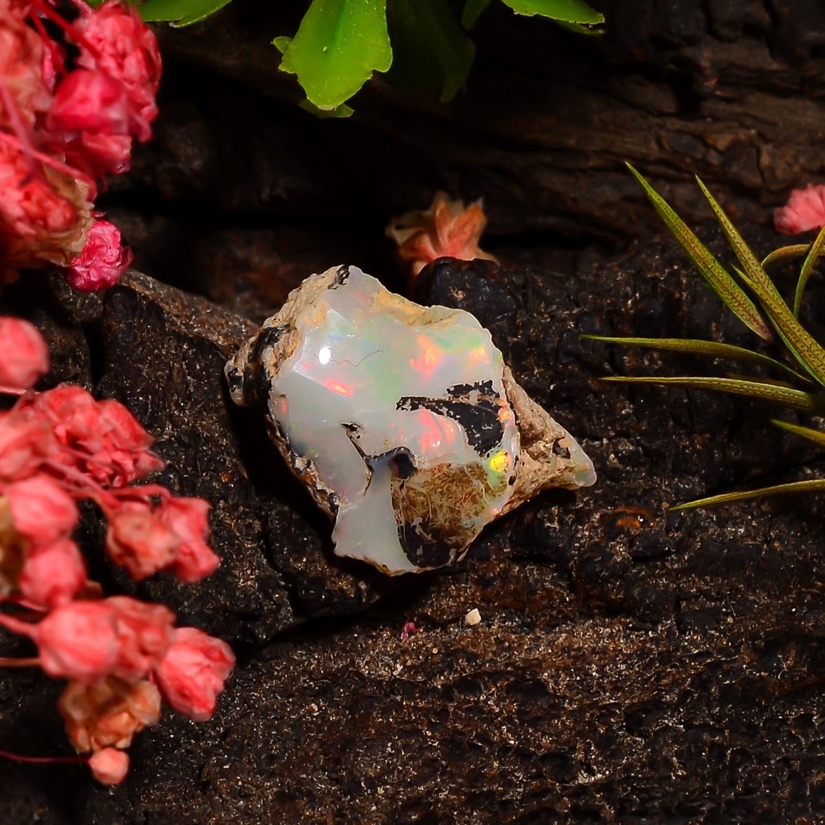 Terrific Top Grade Quality 100% Natural Welo Fire Ethiopian Opal Fancy Rough Loose Gemstone For Making Jewelry 14X9X7 MM 03.00 Cts. KR28-73 Sunkarton