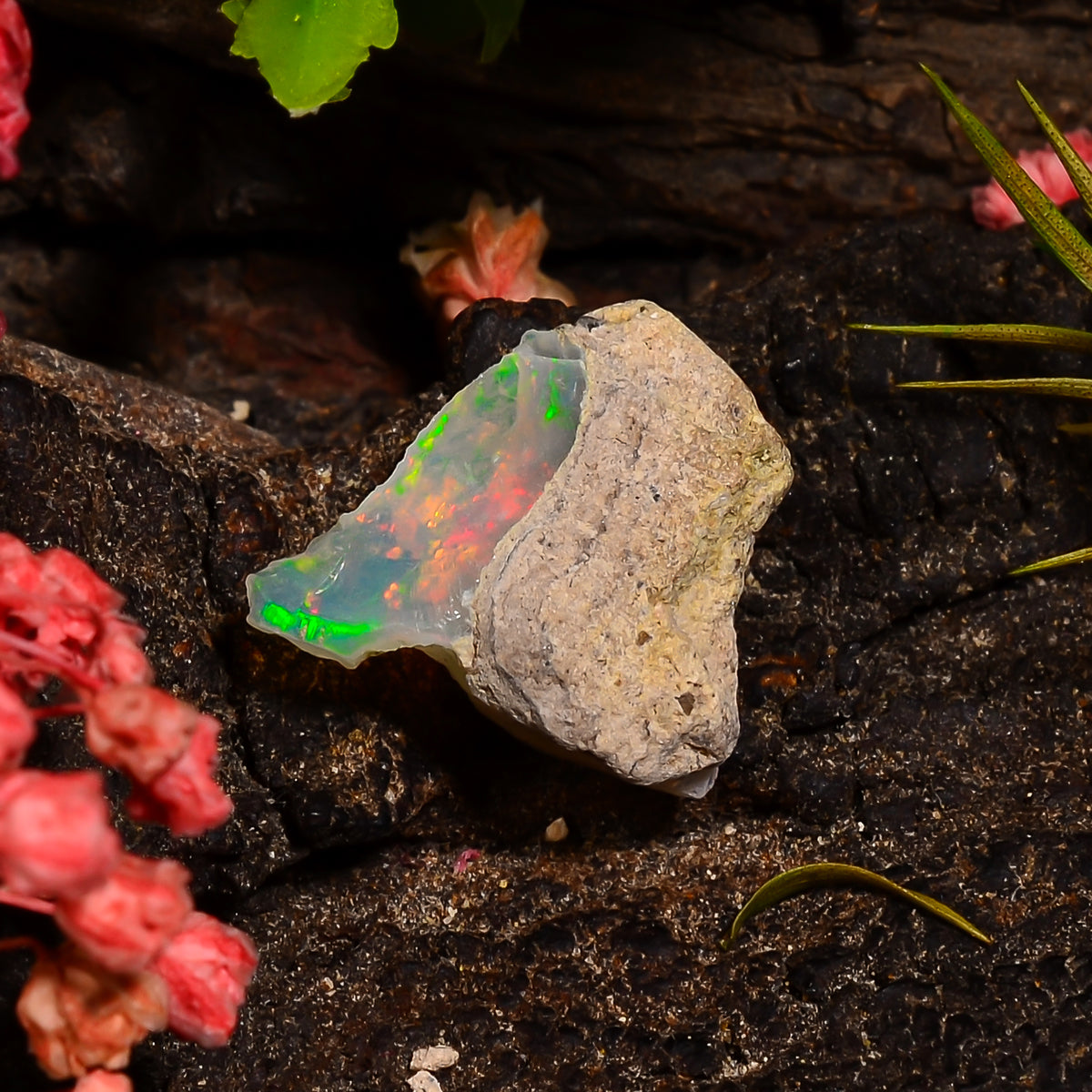 Awesome Top Grade Quality 100% Natural Welo Fire Ethiopian Opal Fancy Rough Loose Gemstone For Making Jewelry 13X12X6 MM 03.50 Cts. KR28-78 Sunkarton