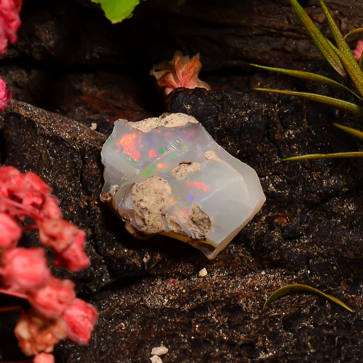 Beautiful Top Grade Quality 100% Natural Welo Fire Ethiopian Opal Fancy Rough Loose Gemstone For Making Jewelry 12X9X5 MM 02.00 Cts. KR28-79 Sunkarton