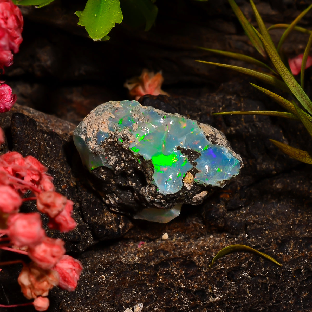 Classic Top Grade Quality 100% Natural Welo Fire Ethiopian Opal Fancy Rough Loose Gemstone For Making Jewelry 16X10X7 MM 05.00 Cts. KR28-80 Sunkarton