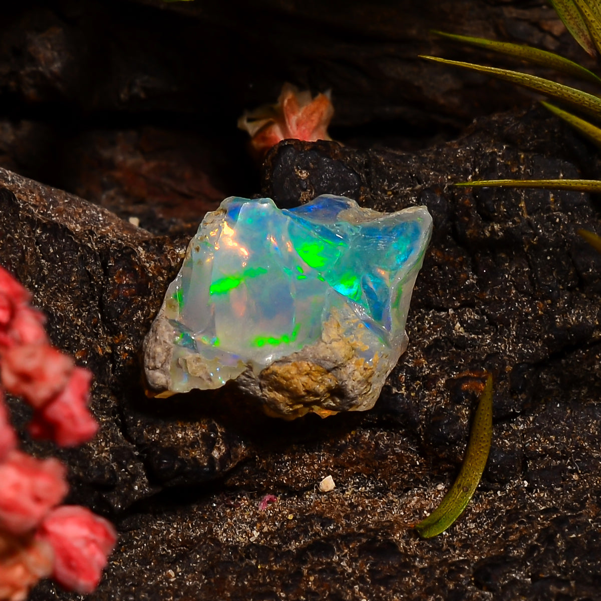 Dazzling Top Grade Quality 100% Natural Welo Fire Ethiopian Opal Fancy Rough Loose Gemstone For Making Jewelry 13X9X7 MM 03.00 Cts. KR28-81 Sunkarton