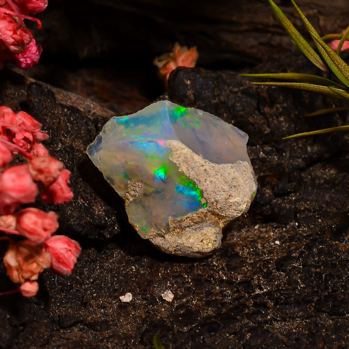 Marvellous Top Grade Quality 100% Natural Welo Fire Ethiopian Opal Rough Loose Gemstone For Making Jewelry 13X12X8 MM 04.00 Cts. KR28-90 Sunkarton