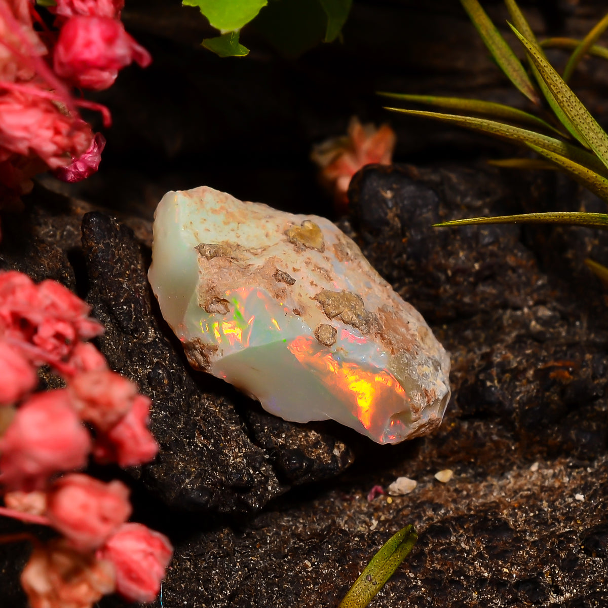 Mind Blowing Top Grade Quality 100% Natural Welo Fire Ethiopian Opal Rough Loose Gemstone For Making Jewelry 15X9X5 MM 02.50 Cts. KR28-91 Sunkarton