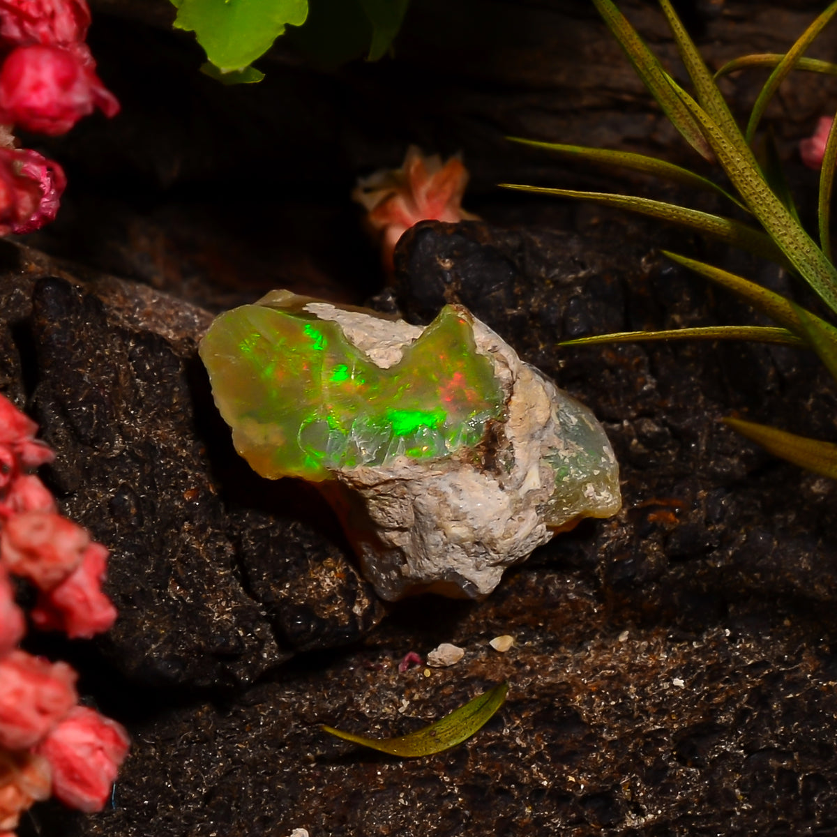 Outstanding Top Grade Quality 100% Natural Welo Fire Ethiopian Opal Rough Loose Gemstone For Making Jewelry 14X8X6 MM 03.00 Cts. KR28-92 Sunkarton