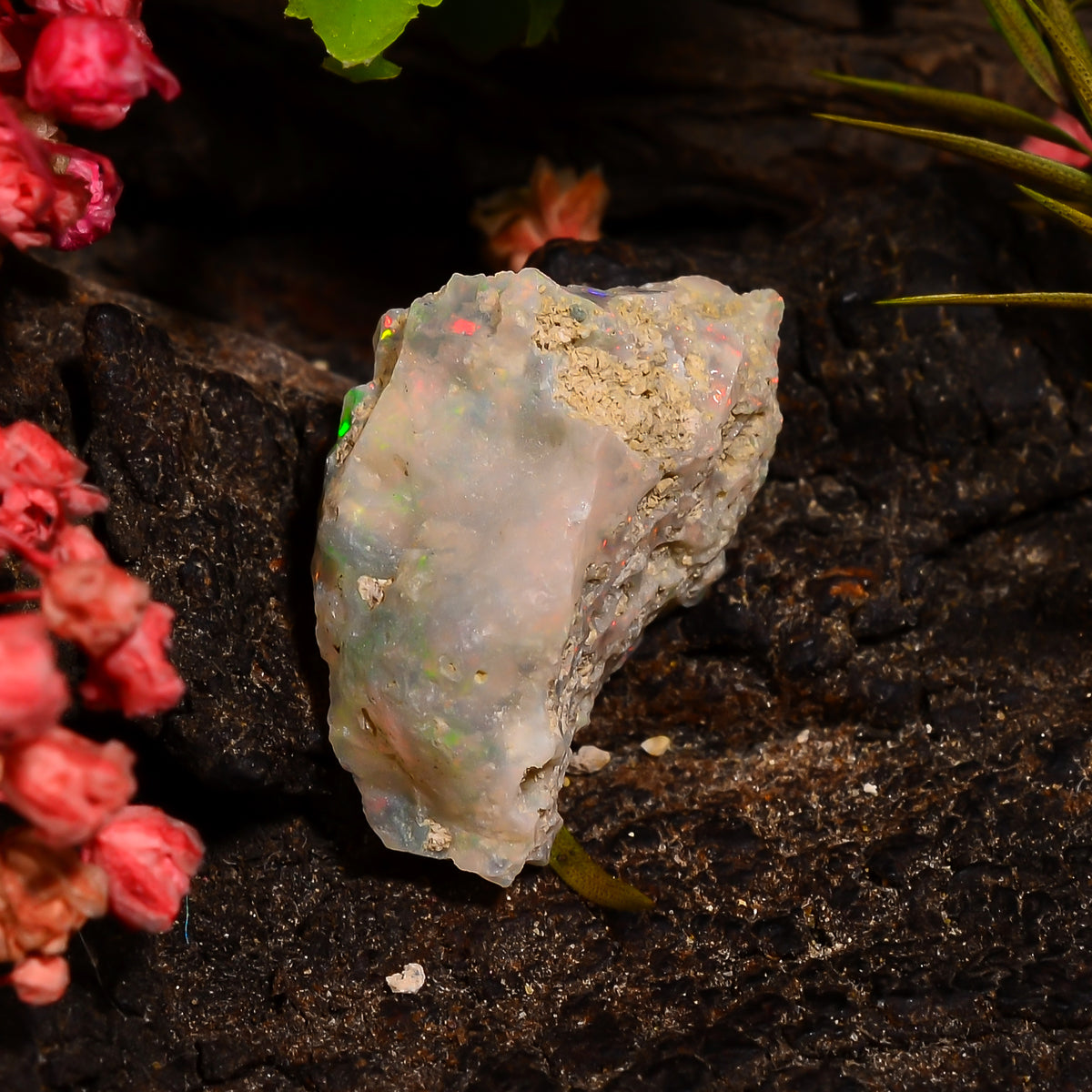 Splendid Top Grade Quality 100% Natural Welo Fire Ethiopian Opal Fancy Rough Loose Gemstone For Making Jewelry 18X12X7 MM 05.50 Cts. KR28-93 Sunkarton