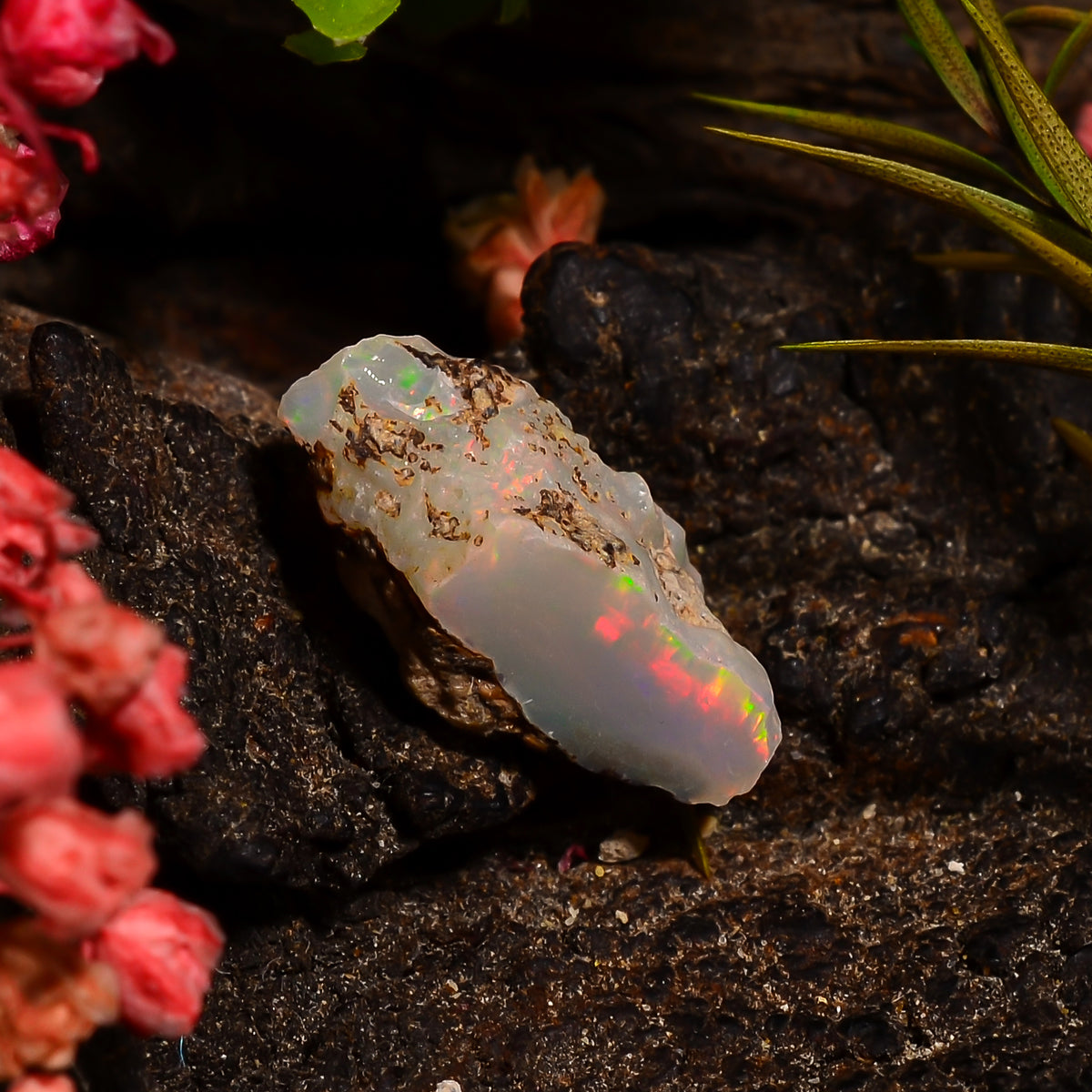 Superb Top Grade Quality 100% Natural Welo Fire Ethiopian Opal Fancy Rough Loose Gemstone For Making Jewelry 13X7X5 MM 02.00 Cts. KR28-94 Sunkarton