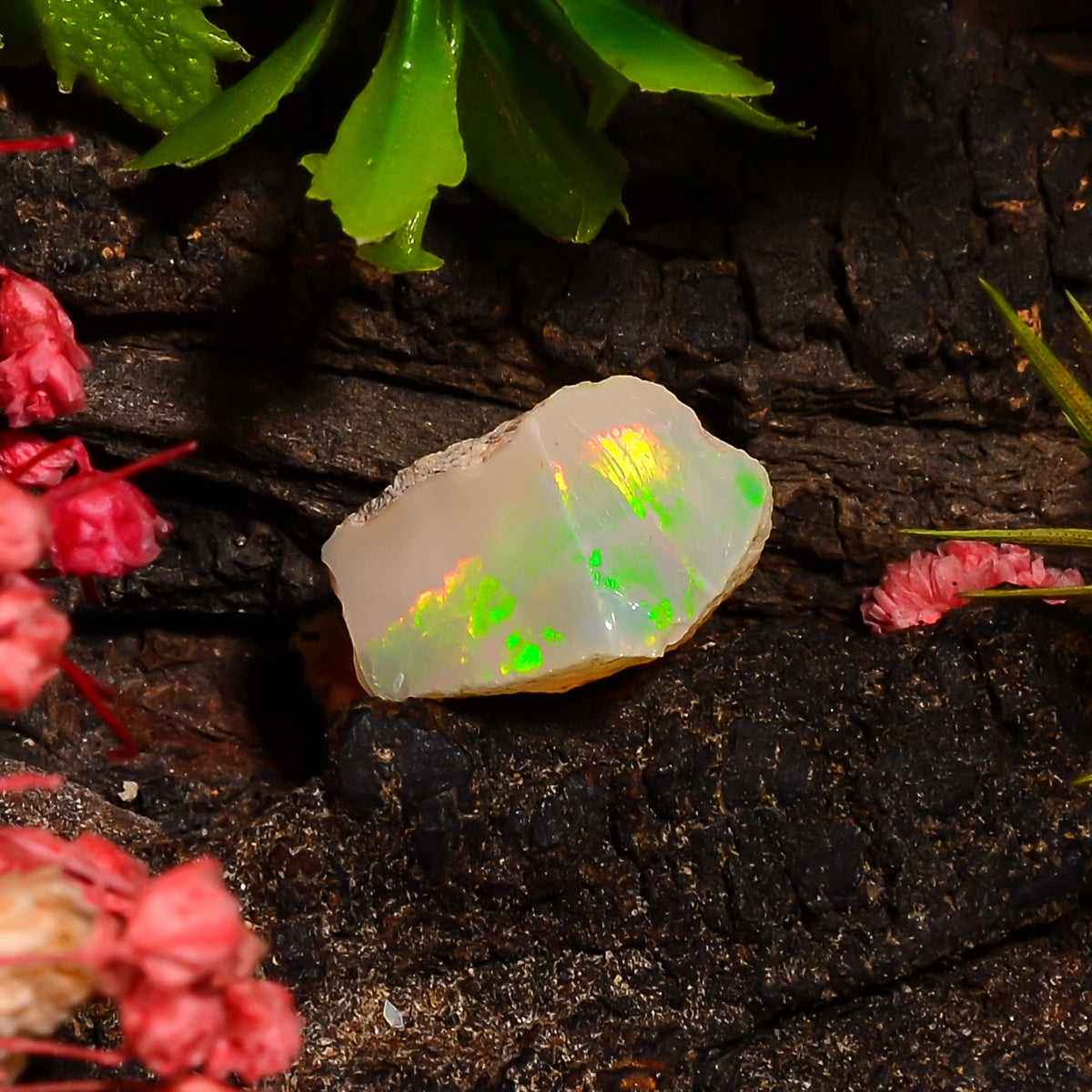 Terrific Top Grade Quality 100% Natural Welo Fire Ethiopian Opal Fancy Rough Loose Gemstone For Making Jewelry 12X8X7 MM 03.50 Cts. KR28-98 Sunkarton