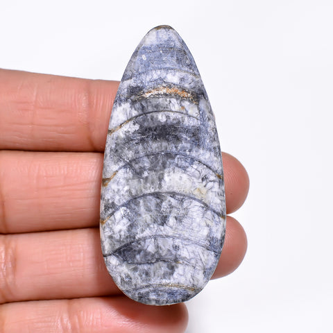 Amazing Top Grade Quality 100% Natural Orthoceras Fossil Pear Shape Cabochon Loose Gemstone For Making Jewelry 50X23X8 MM 80.00 Cts. KR30-1 Sunkarton