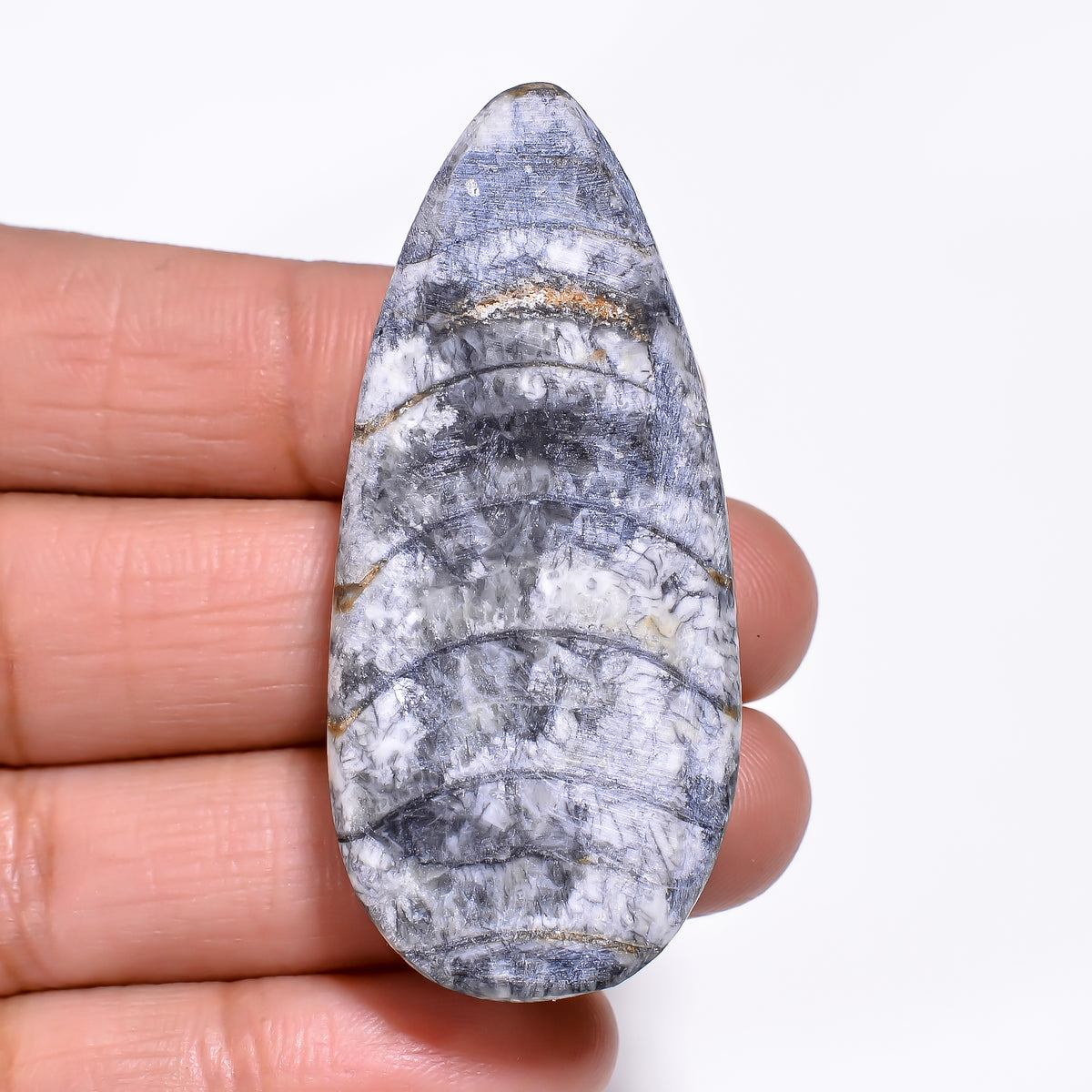 Amazing Top Grade Quality 100% Natural Orthoceras Fossil Pear Shape Cabochon Loose Gemstone For Making Jewelry 50X23X8 MM 80.00 Cts. KR30-1 Sunkarton