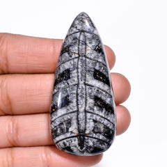 Attractive A One Quality 100% Natural Orthoceras Fossil Pear Shape Cabochon Loose Gemstone For Making Jewelry 53X25X9 MM 96.00 Cts. KR30-2 Sunkarton