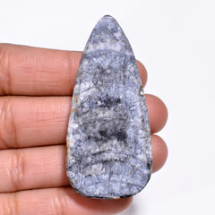 Attractive A One Quality 100% Natural Orthoceras Fossil Pear Shape Cabochon Loose Gemstone For Making Jewelry 53X25X9 MM 96.00 Cts. KR30-2 Sunkarton