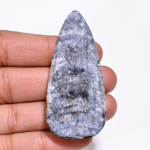 Attractive A One Quality 100% Natural Orthoceras Fossil Pear Shape Cabochon Loose Gemstone For Making Jewelry 53X25X9 MM 96.00 Cts. KR30-2 Sunkarton