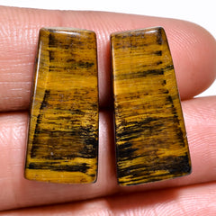Classic Top Grade Quality 100% Natural Tiger Eye Fancy Shape Cabochon Loose Gemstone Pair For Making Earrings 22X11X4 MM 21.00 Cts. KR30-30 Sunkarton