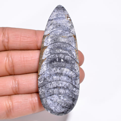 Awesome Top Grade Quality 100% Natural Orthoceras Fossil Pear Shape Cabochon Loose Gemstone For Making Jewelry 69X26X9 MM 136.00 Cts. KR30-3 Sunkarton
