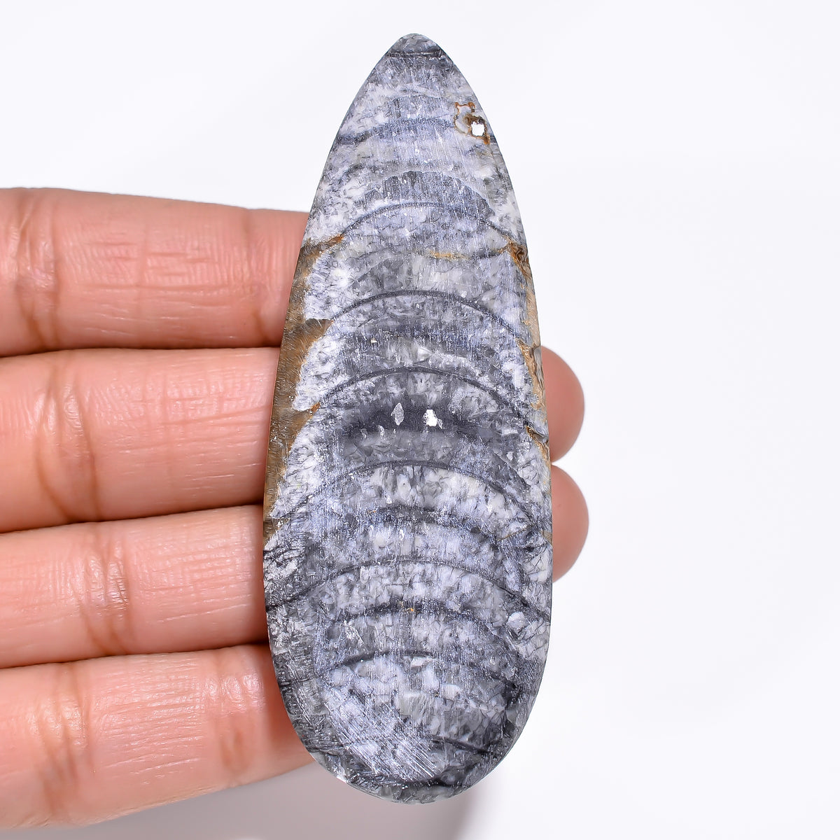 Awesome Top Grade Quality 100% Natural Orthoceras Fossil Pear Shape Cabochon Loose Gemstone For Making Jewelry 69X26X9 MM 136.00 Cts. KR30-3 Sunkarton