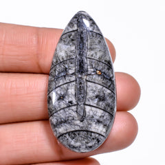 Beautiful A One Quality 100% Natural Orthoceras Fossil Pear Shape Cabochon Loose Gemstone For Making Jewelry 42X21X9 MM 62.00 Cts. KR30-4 Sunkarton