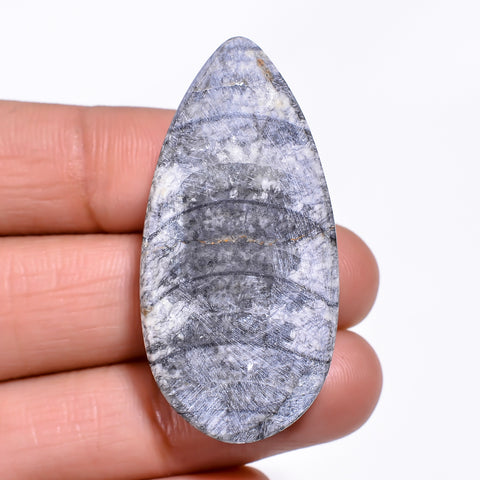 Beautiful A One Quality 100% Natural Orthoceras Fossil Pear Shape Cabochon Loose Gemstone For Making Jewelry 42X21X9 MM 62.00 Cts. KR30-4 Sunkarton