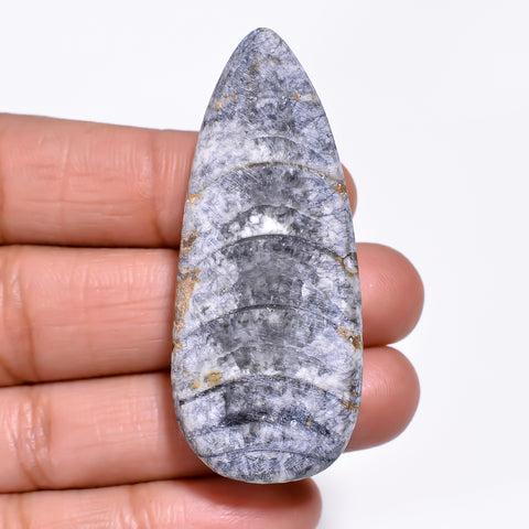 Classic Top Grade Quality 100% Natural Orthoceras Fossil Pear Shape Cabochon Loose Gemstone For Making Jewelry 51X22X8 MM 75.00 Cts. KR30-5 Sunkarton