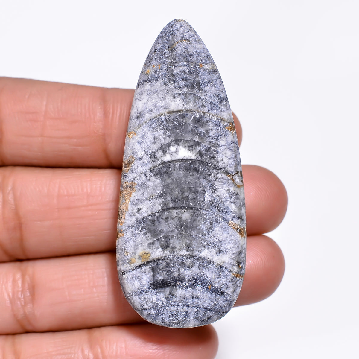 Classic Top Grade Quality 100% Natural Orthoceras Fossil Pear Shape Cabochon Loose Gemstone For Making Jewelry 51X22X8 MM 75.00 Cts. KR30-5 Sunkarton