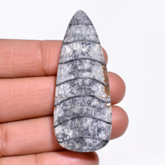 Dazzling Top Grade Quality 100% Natural Orthoceras Fossil Pear Shape Cabochon Loose Gemstone For Making Jewelry 49X20X7 MM 58.50 Cts. KR30-6 Sunkarton