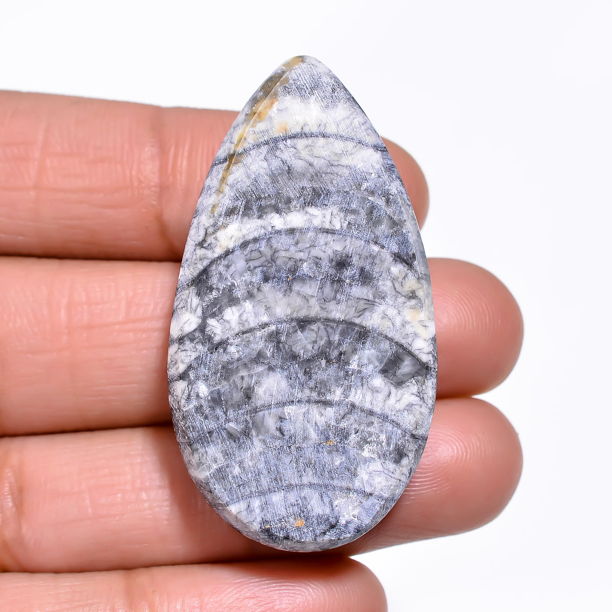 Excellent A One Quality 100% Natural Orthoceras Fossil Pear Shape Cabochon Loose Gemstone For Making Jewelry 42X22X7 MM 57.50 Cts. KR30-7 Sunkarton