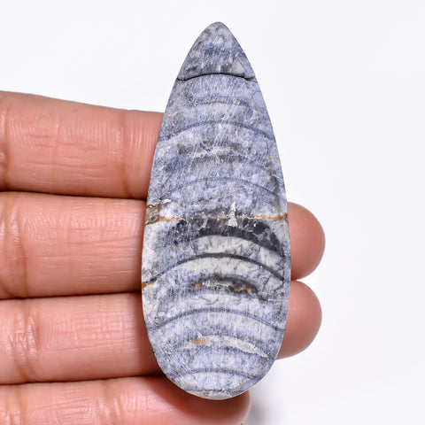 Elegant Top Grade Quality 100% Natural Orthoceras Fossil Pear Shape Cabochon Loose Gemstone For Making Jewelry 55X22X8 MM 81.00 Cts. KR30-9 Sunkarton