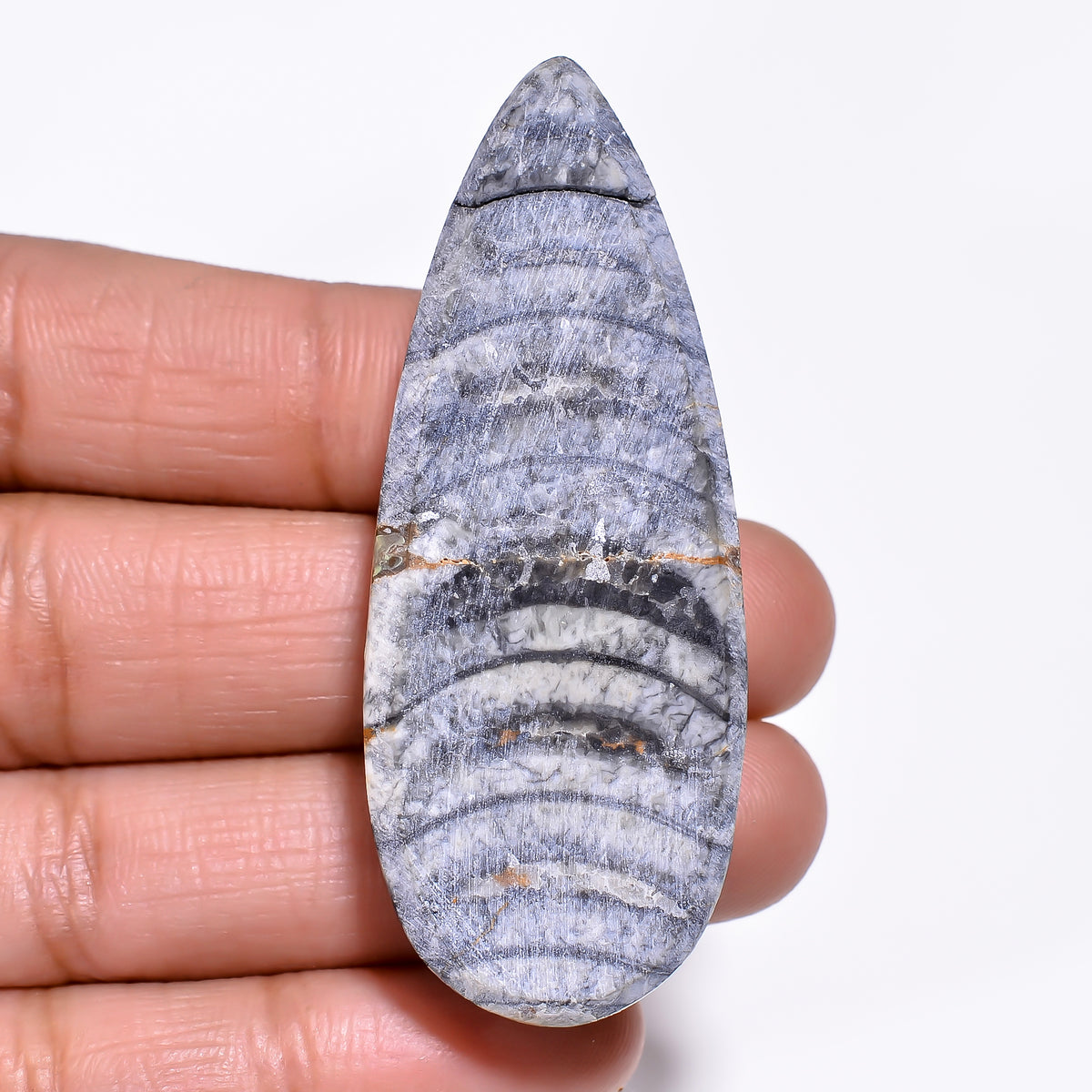 Elegant Top Grade Quality 100% Natural Orthoceras Fossil Pear Shape Cabochon Loose Gemstone For Making Jewelry 55X22X8 MM 81.00 Cts. KR30-9 Sunkarton